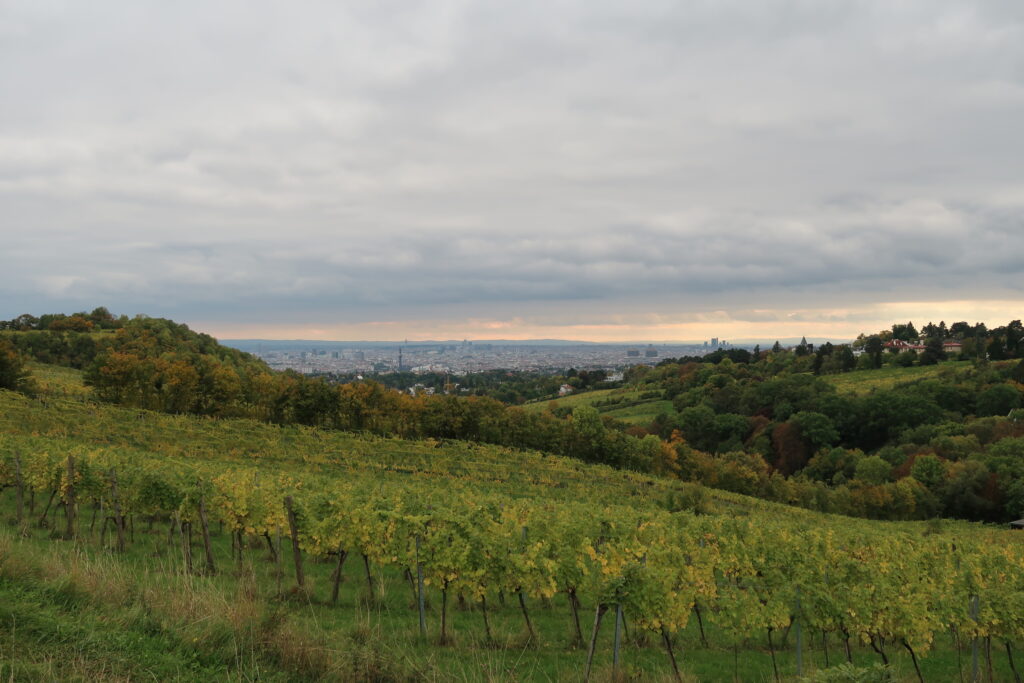 Weinberge bei Nussdorf