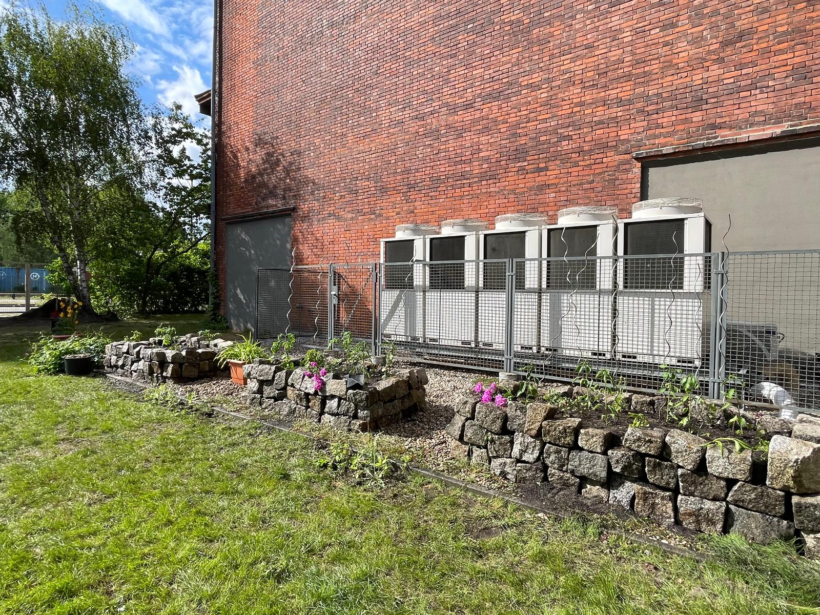 Im Frühling blüht der Schulgarten auf